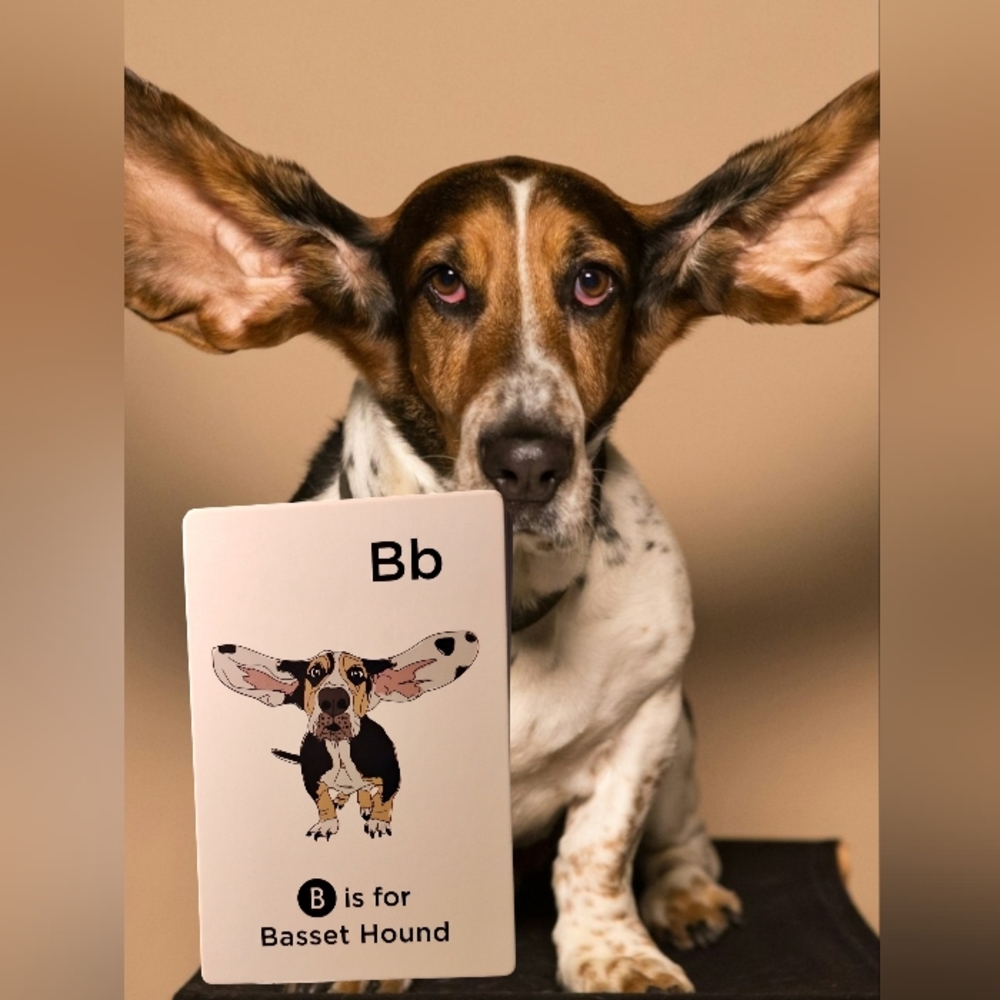 Sketch & Paws Dog Breed Flash Cards